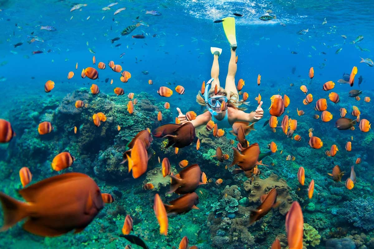 tour-cau-ca-lan-ngam-san-ho-bac-dao-phu-quoc.jpeg tour-cau-ca-lan-ngam-san-ho-bac-dao-phu-quoc.jpeg
